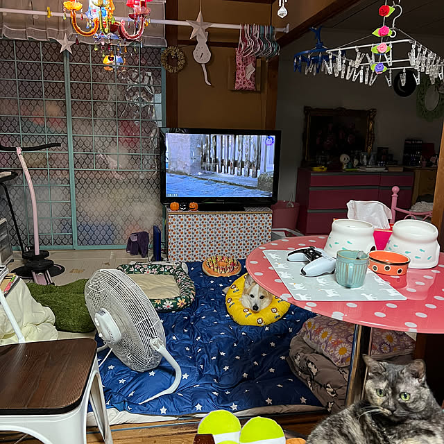 SIROさんの実例写真