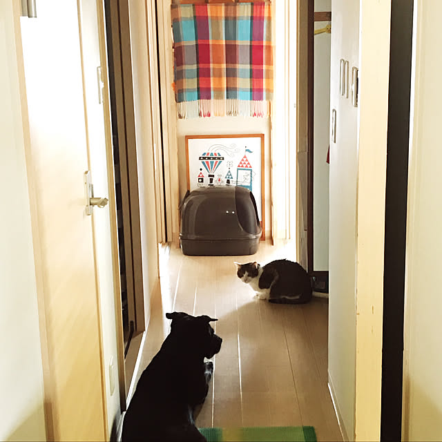 naonaoさんの実例写真