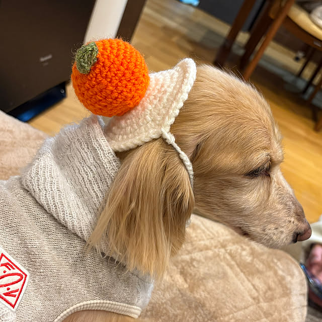 ponponcooさんの部屋