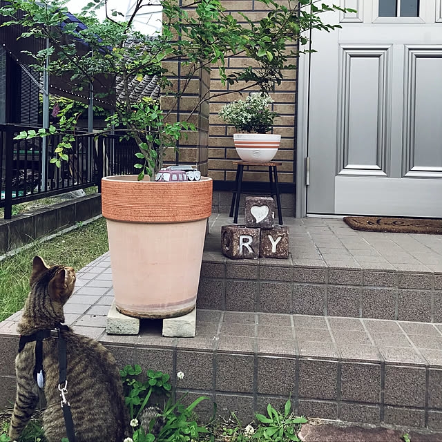 chiitanさんの実例写真
