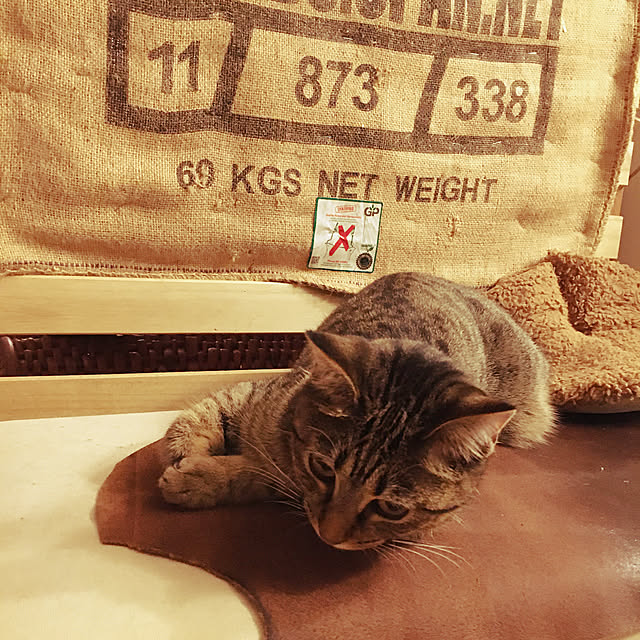 Mさんの実例写真