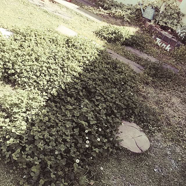 nathuさんの実例写真