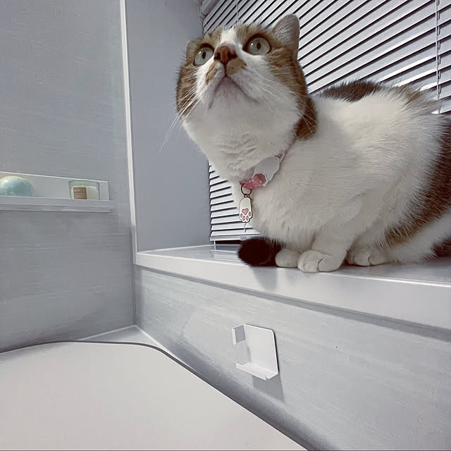 mya___kさんの実例写真