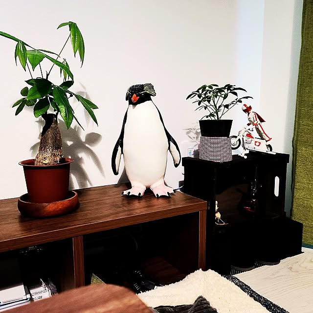 s-urさんの部屋