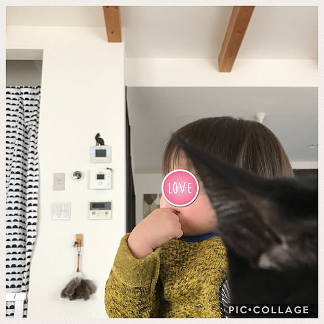 yuki0511さんの実例写真