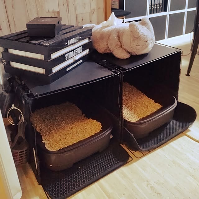runaさんの部屋