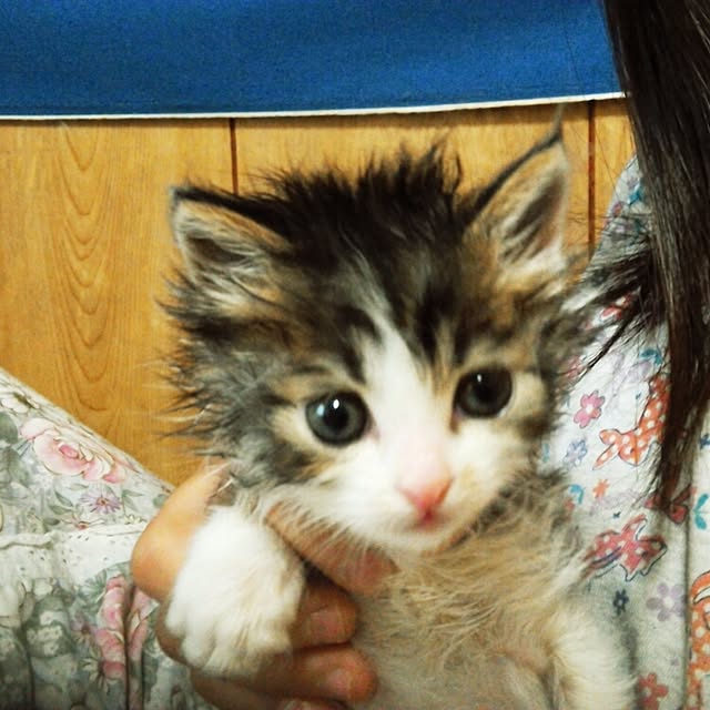 kaiさんの実例写真