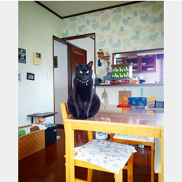 mntcさんの実例写真