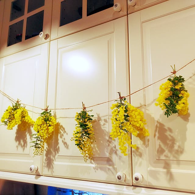 Toraziさんの実例写真