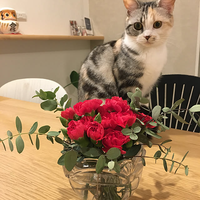 mikkumikuさんの実例写真