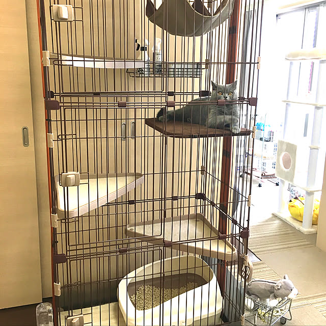 kittyさんの実例写真