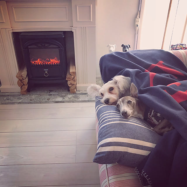 suzyさんの実例写真