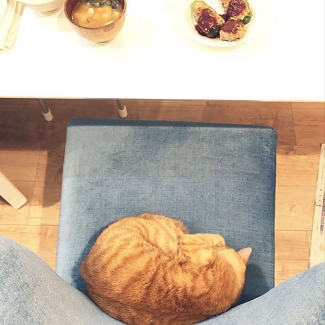 funikoさんの実例写真
