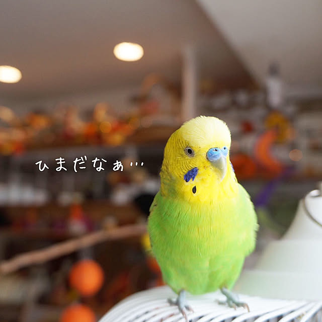 r_6cafeさんの実例写真