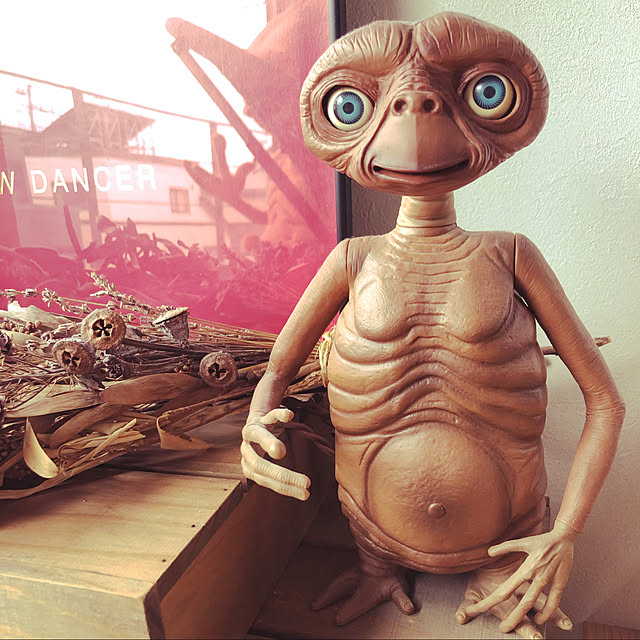 Megさんの実例写真