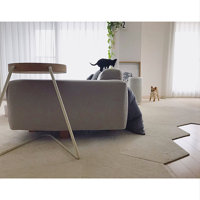 haruhinaさんの実例写真