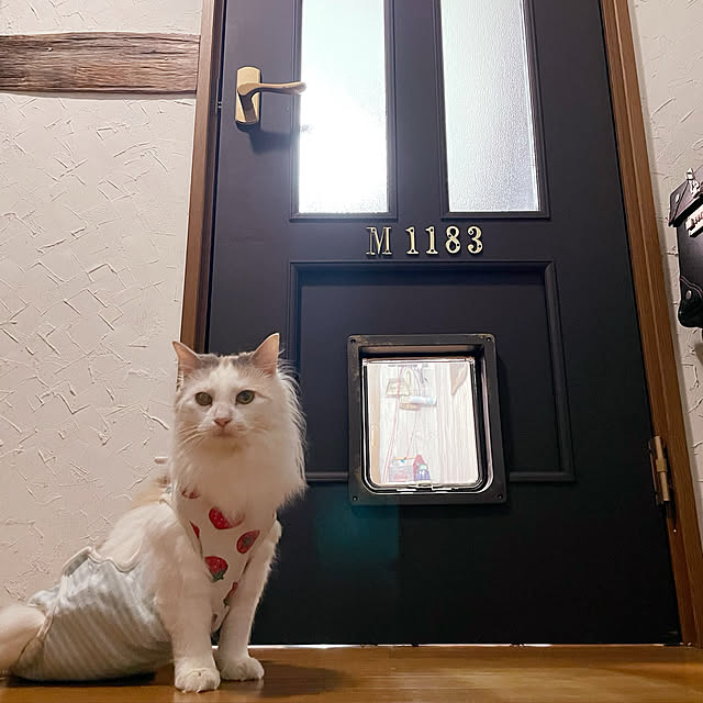 nakayoshinyankoさんの実例写真