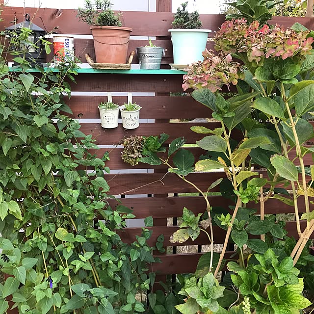 kokko3さんの実例写真