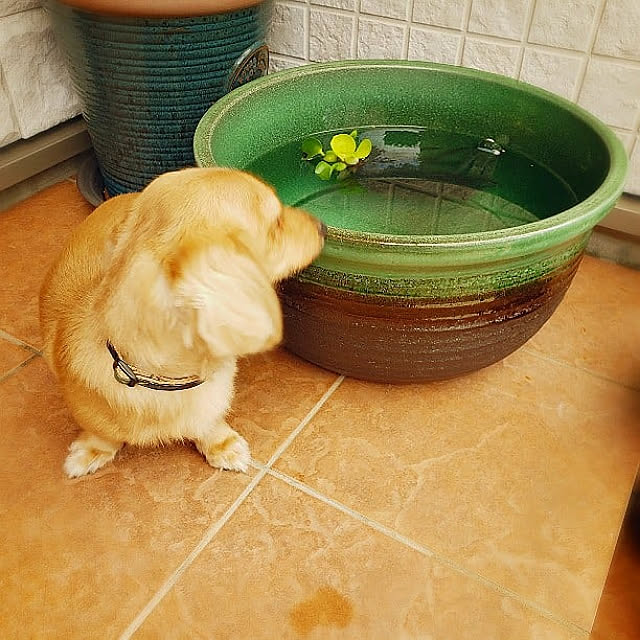 miiiさんの実例写真