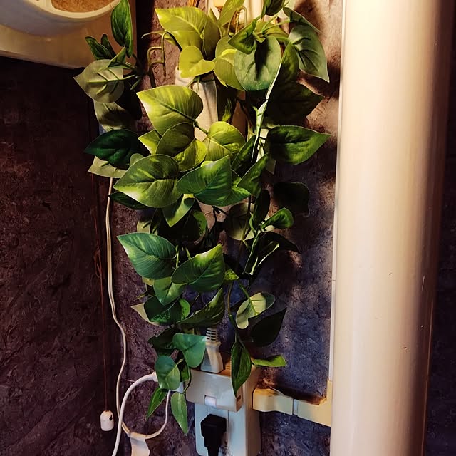 runaさんの部屋