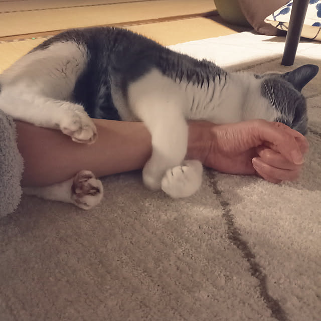 rhuさんの実例写真