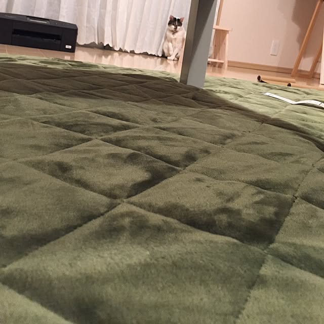 amandaさんの実例写真