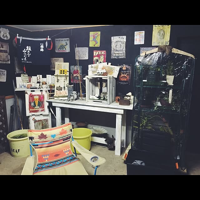 roborovskiiさんの実例写真