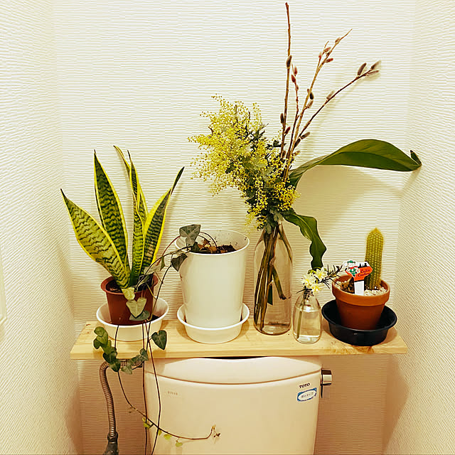 tomorinさんの実例写真