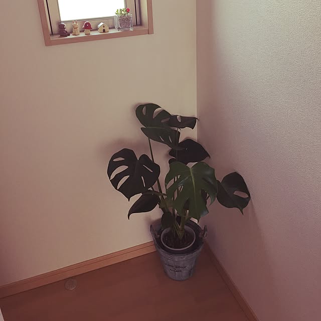 eminnieさんの実例写真