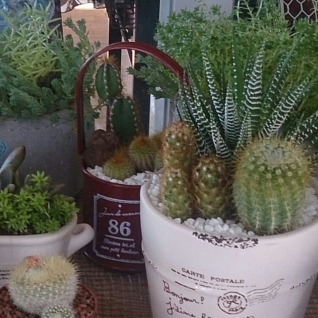 実例写真