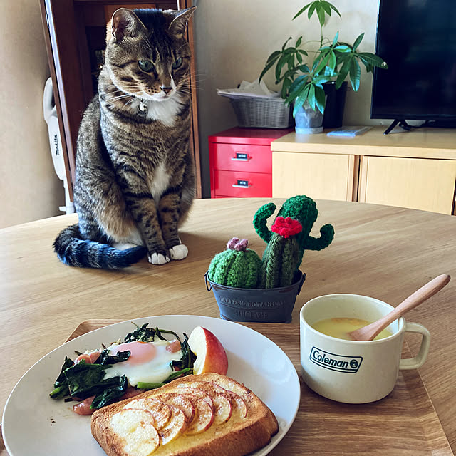suemonta14さんの部屋