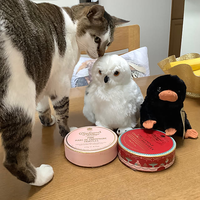haruminさんの部屋