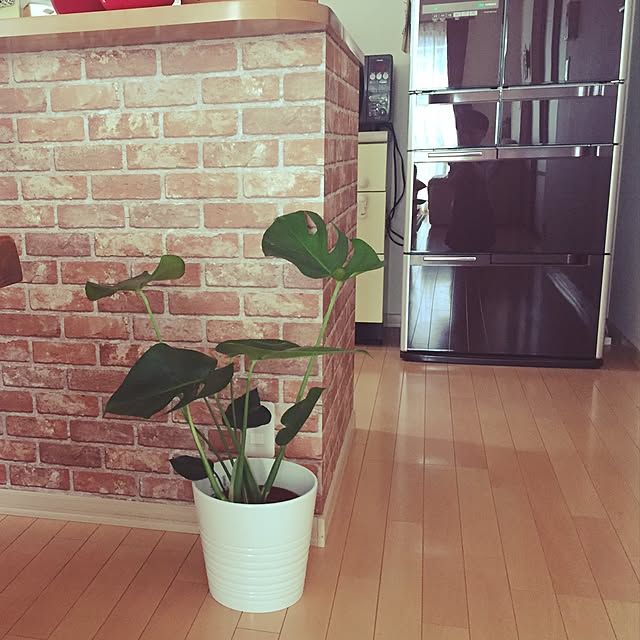 youconchikiさんの実例写真