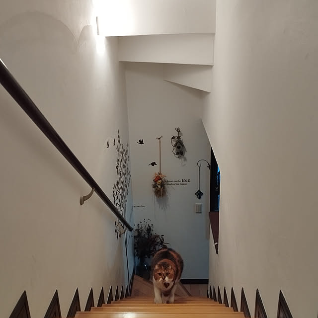 hiro3さんの実例写真