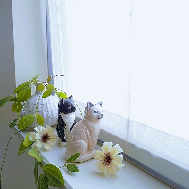 .Haさんの実例写真