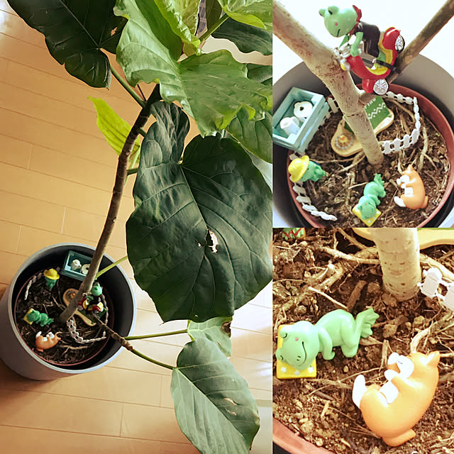 buchibuchi55さんの実例写真