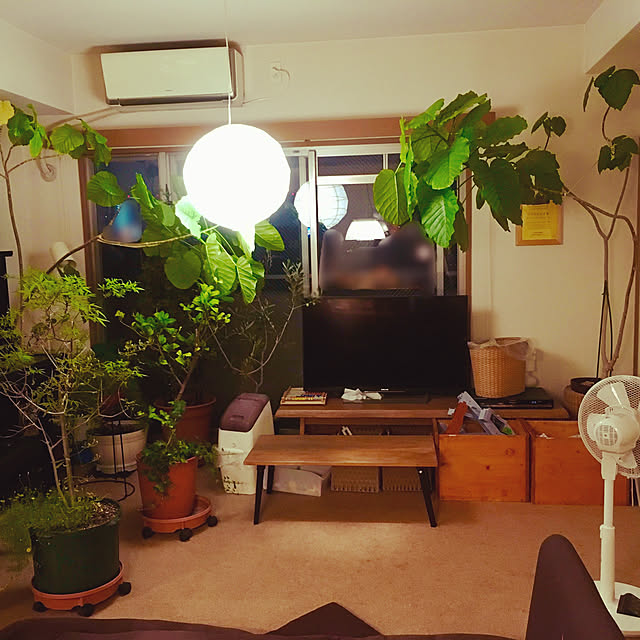 cottoncottonさんの実例写真