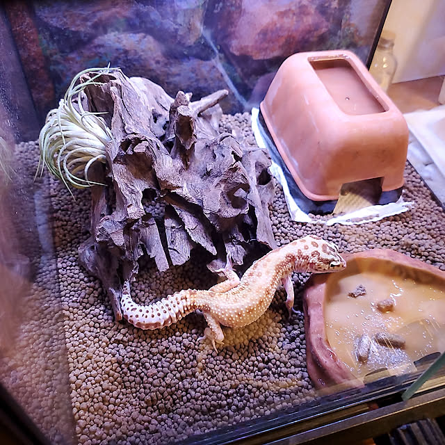 Daiさんの実例写真