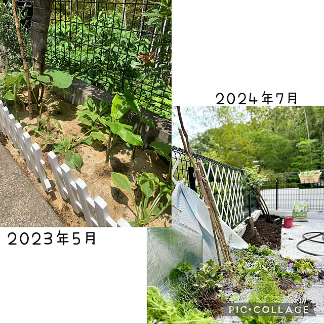 kittyさんの部屋