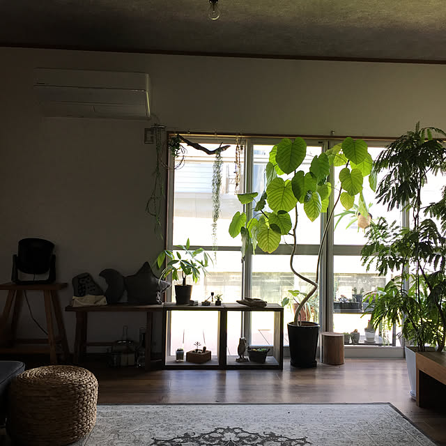 mitamaさんの実例写真