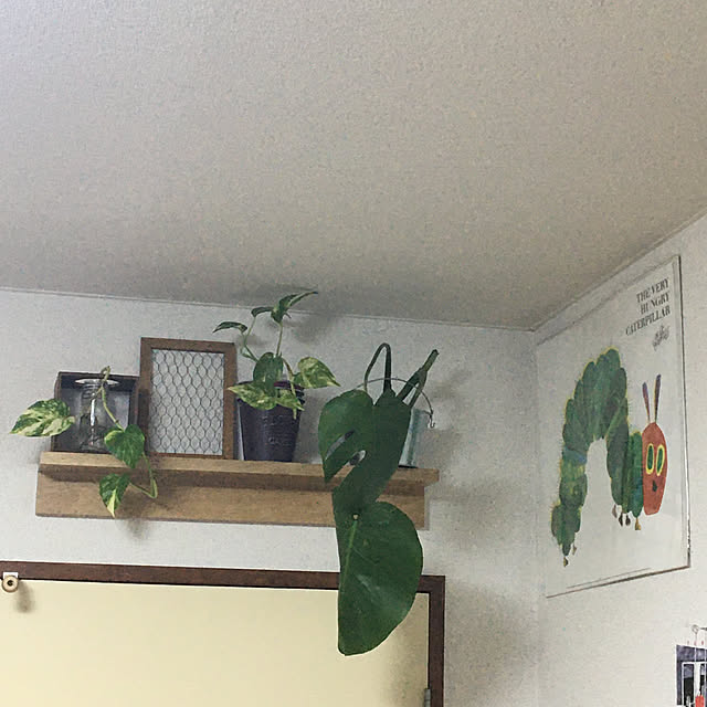 yomiyomiさんの実例写真