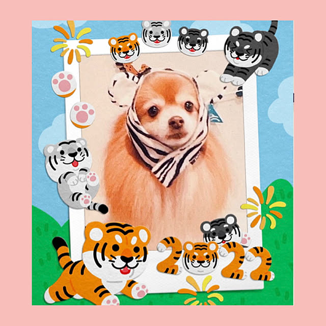 e-aiaiさんの実例写真
