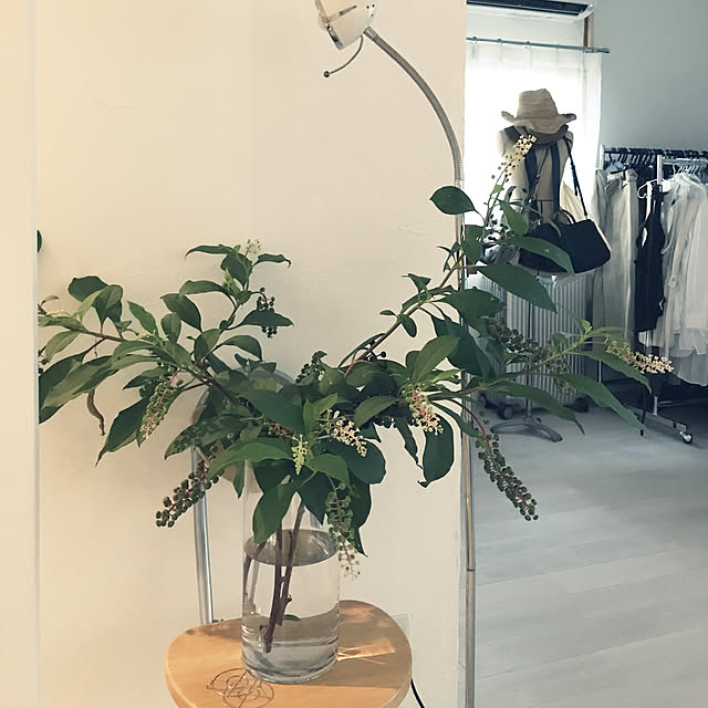 anela00さんの実例写真