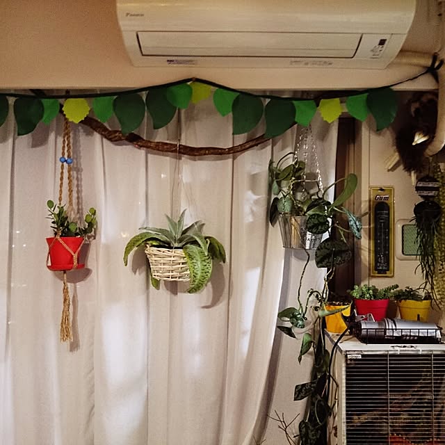 mwさんの実例写真