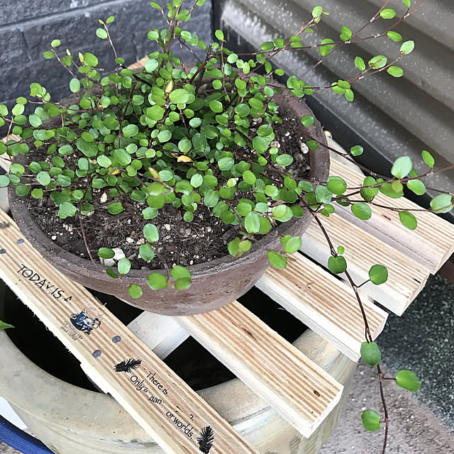 Sakuraさんの部屋