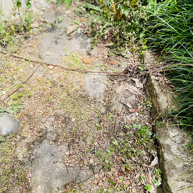 Makoさんの部屋