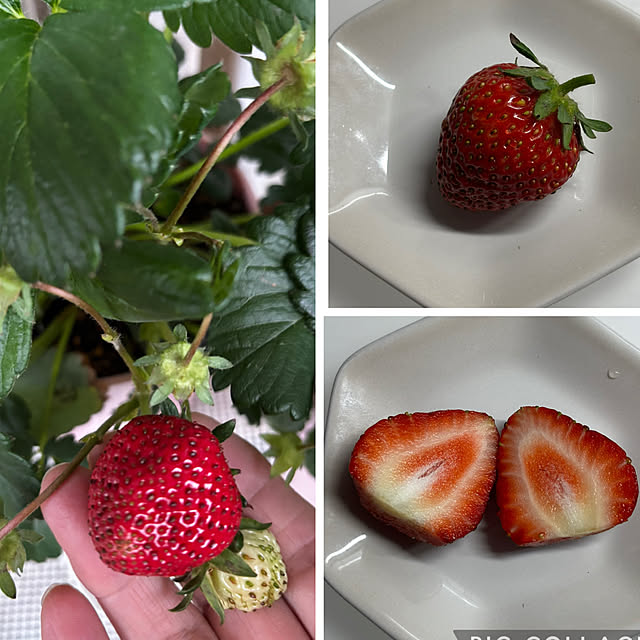 syutmmさんの部屋