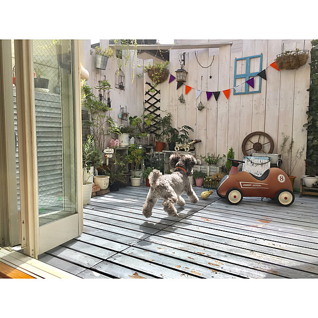 makoriさんの実例写真