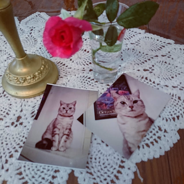 machikomamaさんの実例写真