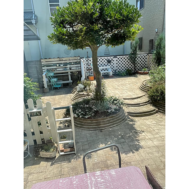 momocchiさんの実例写真